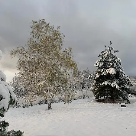 House Official 公寓 Ni